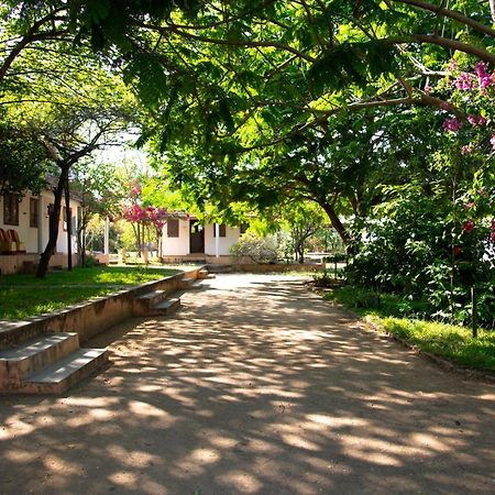 Hotel The Mountain Retreat Tiruvannāmalai Exterior foto