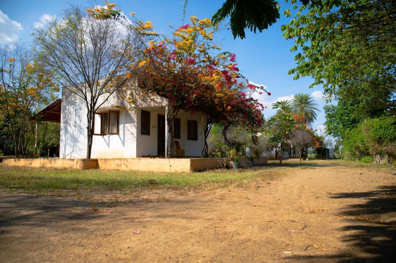 Hotel The Mountain Retreat Tiruvannāmalai Exterior foto